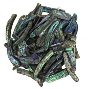May include: A pile of iridescent abalone shell pieces in shades of green, blue, and purple. The pieces are all different shapes and sizes, and they are arranged in a random pattern.