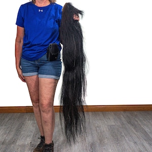 Tanned Real Icelandic Horse Tail (18-06VT-G6298) Y1H
