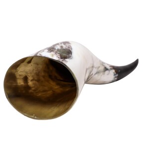 May include: A curved drinking horn with a polished interior and a natural, marbled exterior. The horn's tip is dark, transitioning to a creamy white and gray pattern. The horn is likely made from animal horn.