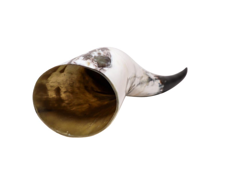 May include: A curved drinking horn with a polished interior and a natural, marbled exterior. The horn's tip is dark, transitioning to a creamy white and gray pattern. The horn is likely made from animal horn.