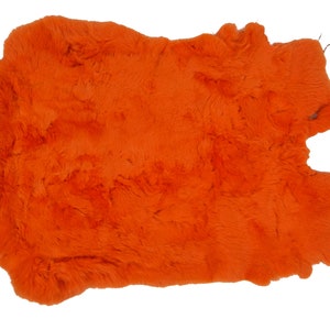 Rex Rabbit Skin #1 Dyed Orange Pelt (142-1ORB-AS) Y2K