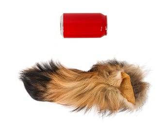 finland raccoon boa／　自然色　／GAKE日本製❣️ Finnish Raccoon Fur Pelt - SL Fur & Leather