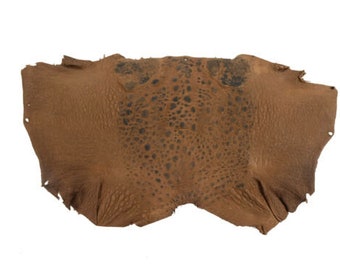 Real Cane Toad Skin Leather: Brown (1018-10-BR)