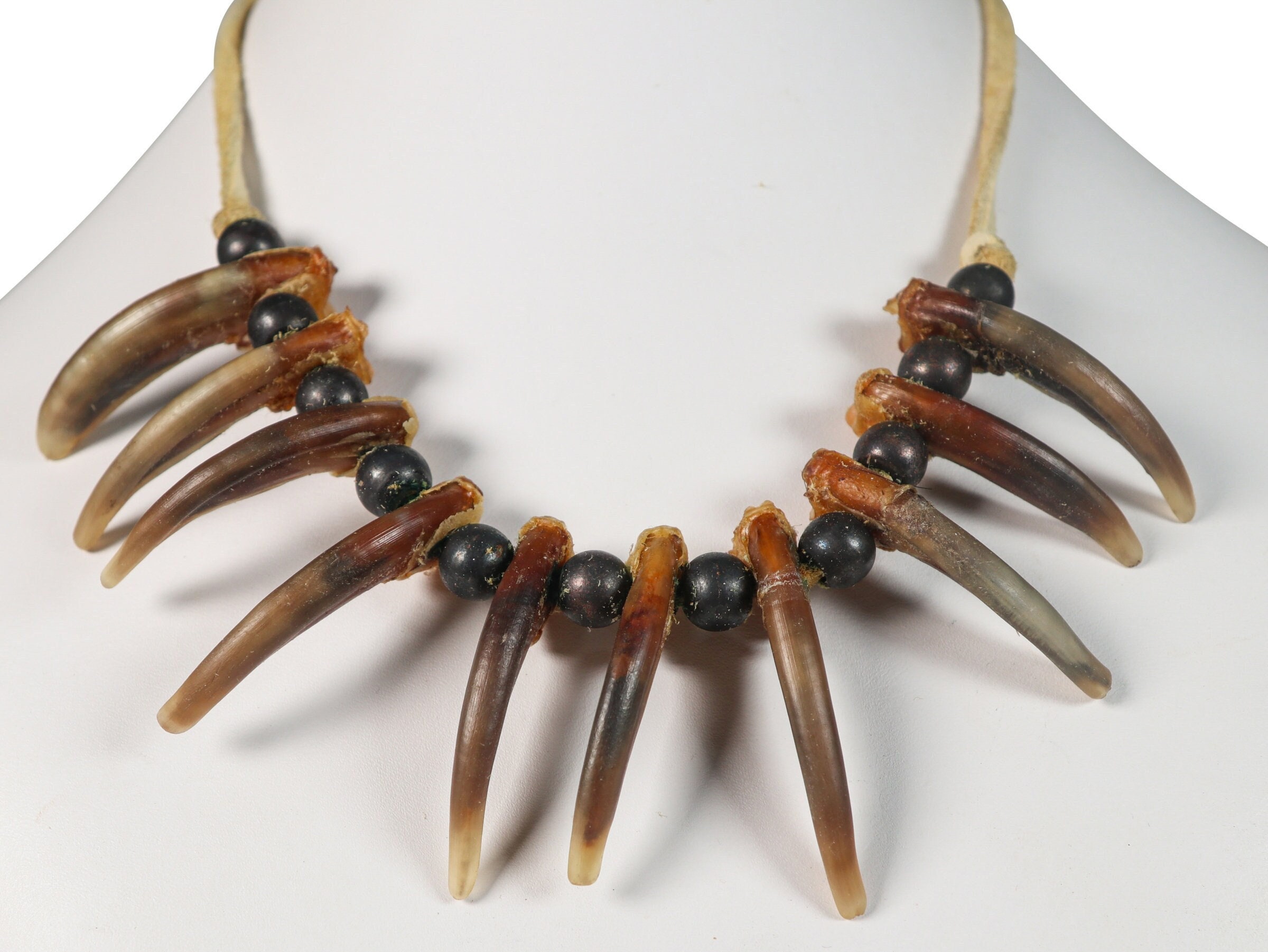 Real 10-claw North American Badger Necklace (560-710) Y1J - Etsy Real 10-claw North American Badger Necklace (560-710) Y1J - Etsy