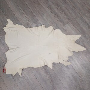 11.75 Square Feet of Deerskin Leather #1/#2: White (40-01-WH-G2637) Y2F