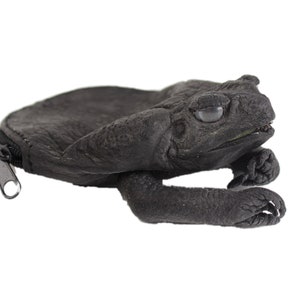 Black Dyed Cane Toad Coin Pouch (1019-10M-BK) Y2J