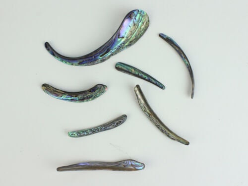 Paua Abalone Shell Rims Satin: Unsorted 1/4 Lb (565Z-TPSRU-AS) - Etsy