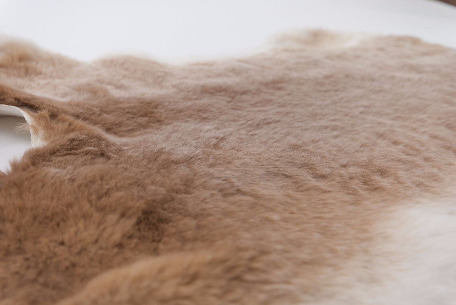 Rex Rabbit Skin: Natural Brown and White, Beige (142-12