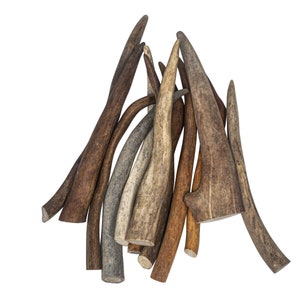 One Pound of Caribou Antler Tips: Extra Extra Large (74-10-XXL) Y2H