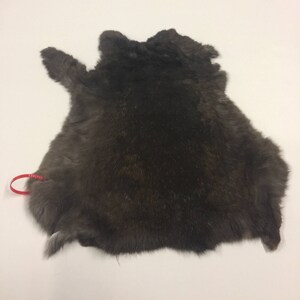 Rabbit Pelt Czech Large: Natural Brown Color (140-HVN-A-G1710) Y3L