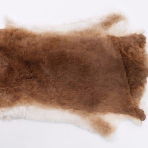 Rex Rabbit Skin: Natural Brown and White, &quot;Orange&quot; (142-14-G1358) Y2E