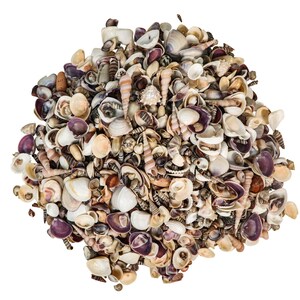 Small Indian Shell Mix: 0.25"-1" 1-KG bag (2.2 lbs) (2HS-3262K-KG) Y3K