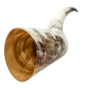 Puede incluir: Una taza para beber de cuerno marr&oacute;n y blanco con una abertura ancha y un pico largo y curvo.