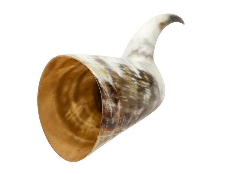 Puede incluir: Una taza para beber de cuerno marr&oacute;n y blanco con una abertura ancha y un pico largo y curvo.