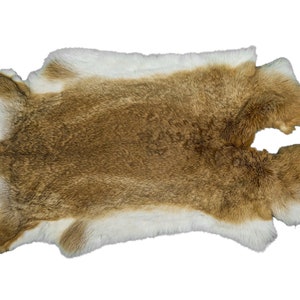 Jumbo Czech Rabbit Skin #1 quality: Natural Bunny Brown Color (CB-283-1-CZNBB-G04) Y2H