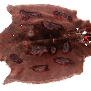 Dyed & Sheared Acid-Washed Beaver Skin (50-55-G4490) Y1L
