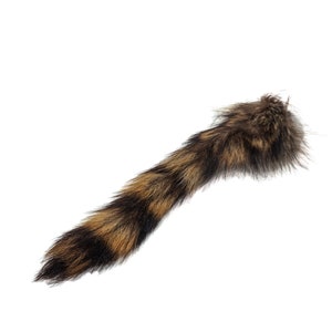 May include: A brown and black raccoon tail with long, soft fur.