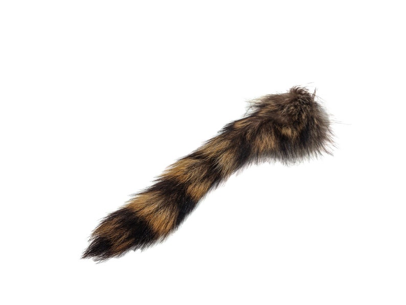May include: A brown and black raccoon tail with long, soft fur.