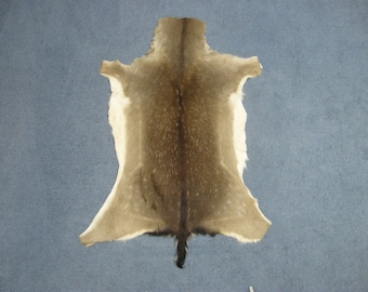 Hungarian Fallow Deer Hide- Winter Phase Skin Pelt (744-W-G41)