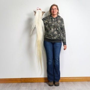 Soft Tanned Real Horse Tail (18-06T-G4321) Y1H