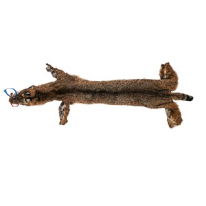 Real Bobcat Skin: Trading Post Quality (338-TP-G8548) Y2O
