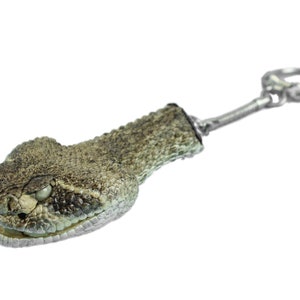 Real Rattlesnake Head Keychain: Closed Mouth (42-30C) Y2J