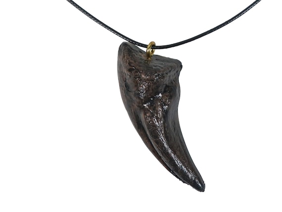 Shop Dinosaur Tooth Necklace with great discounts and prices online - Dec  2023 | Lazada Philippines