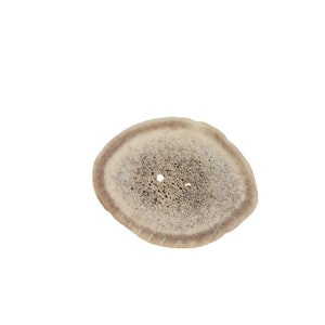 Ten (10) 1.0&quot; to 1.5&quot; Cross-Cut Two-Hole Caribou Antler Buttons (74-20-1.0) Y1M