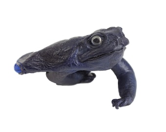 Royal Blue-Purple Dyed Cane Toad Coin Pouch (1019-10M-RB) D5