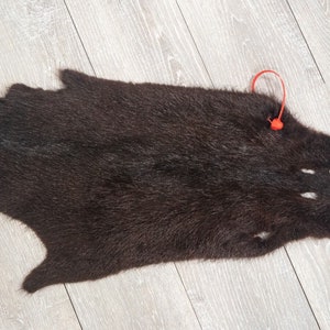 May include: A dark brown fur pelt with a red tie attached to it. The fur is soft and fluffy, and the pelt is laid out flat on a light wood surface.