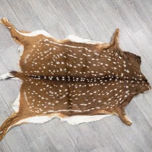 Axis Deer Hide: Large (488-L-G6216) Y1H