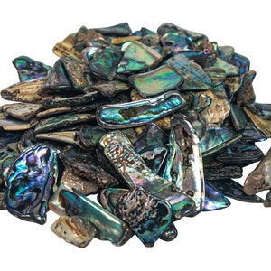 May include: A pile of iridescent abalone shell pieces in shades of blue, green, and brown. The shells are various shapes and sizes, and some have a pearlescent sheen.