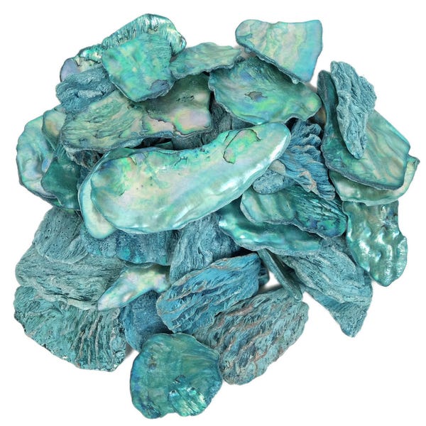 Turquoise Dyed African Abalone Pieces: 50mm size. 1-kg bag (2.2 pounds) (220-TP-50-TQ) Y3G-A3