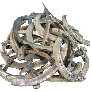 May include: A pile of iridescent, natural, sea shell pieces. The shells are a light brown color with a pearlescent sheen. The shells are arranged in a random pattern.