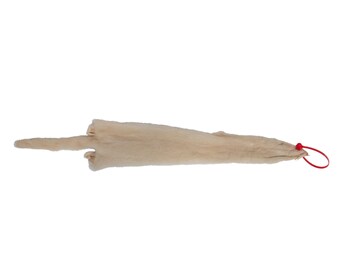 Female Ranch Mink Skin: Pearl (28-F-PE-G1242)