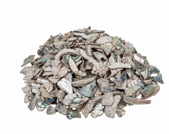 1-kg bag (2.2 pounds) of Tumbled Natural African Abalone Pieces: 12mm-19mm (220-TP-1219-NA) Y3E