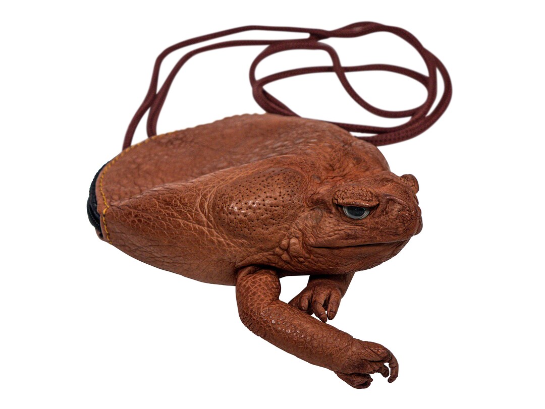 Real Cane Toad Pouch Sling 101960NABR 8UQ11 Etsy