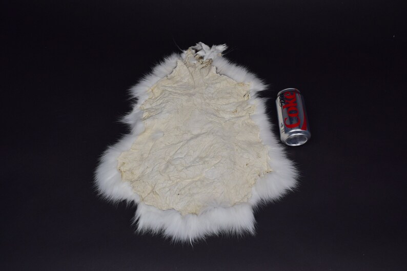 Arctic Snowshoe Hare Skin Pelt Skin Hide 585SNOW1 8UK13 Etsy