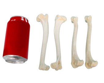BONE Applications of Titanium Dioxide Nanostructure in Stomatology