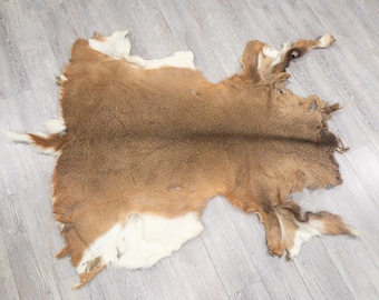 White Tail Deer Hide: #2 (39-02-G6084)