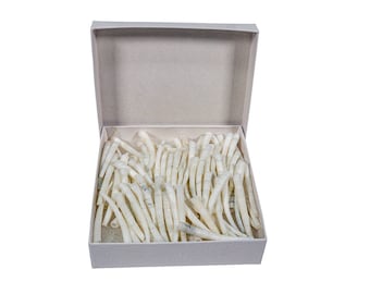 One Hundred (100) 1.5" to 2" Dentalium Vernedei Shells (208-C-XL)