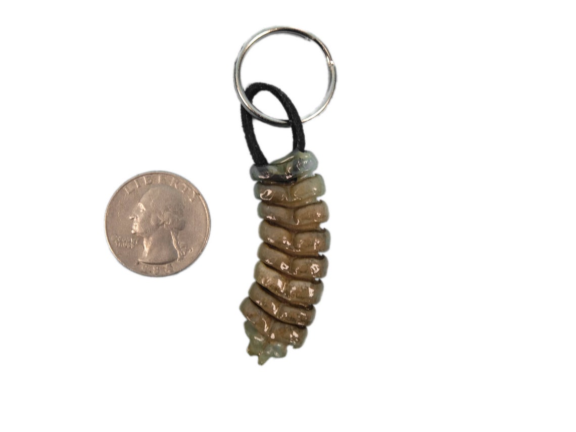 Rattlesnake Rattle and Leather Keychain 4231L 9UC17 Etsy