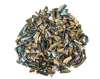 Highly Polished Paua Abalone Shells: Nuggets 20-50mm 1-KG Bag (2.2 lbs) (565-TNHP-KG) Y3L