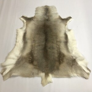 Reindeer Hide Large: Gallery (33-L-G2047) Y3K