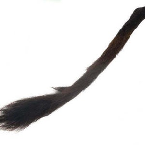 Brown Bovine Calf Tail - Fly Tying (18-30-047) Y1L