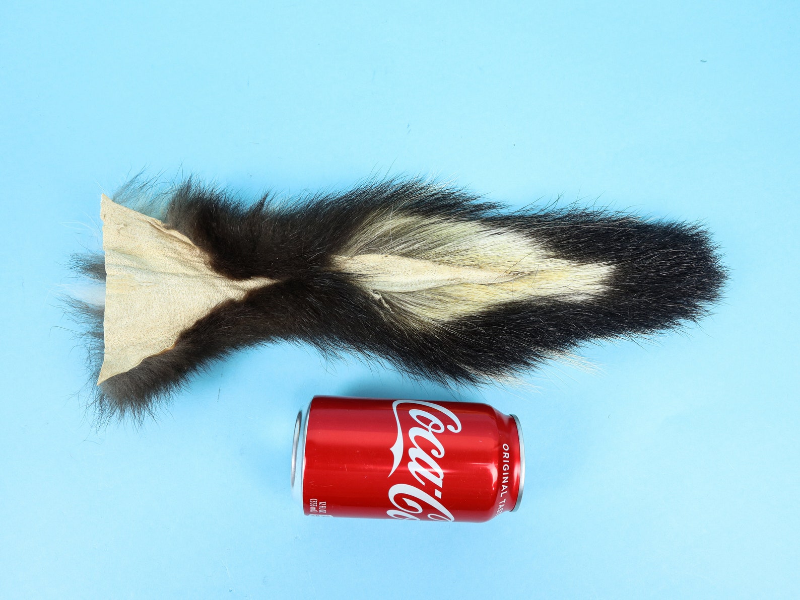 Real Tanned Skunk Tail 18-SK-G4240 9UL1 | Etsy
