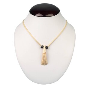 Real Water Buffalo Tooth Necklace: 1-Tooth (404-601) Y2H