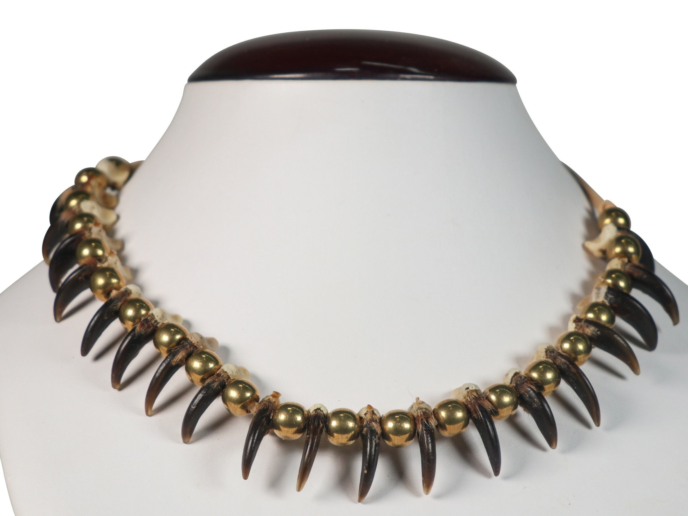 Real Coyote Claw Necklace: 20-claw (560-620) Y2K - Etsy