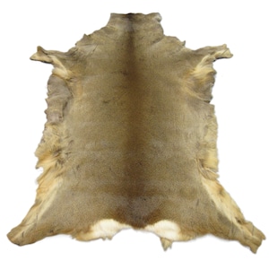 Random Assorted Roe Deer Skin (1006-AS) Y2K