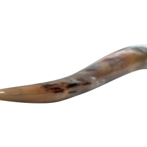 May include: A brown and white horn with a curved shape. The horn has a smooth, polished surface and a pointed tip.
